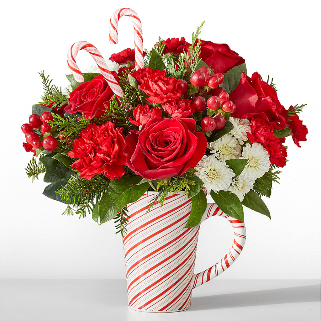 Peppermint Swirl Mug – EUGENE'S FLOWER HOME, Springfield OR