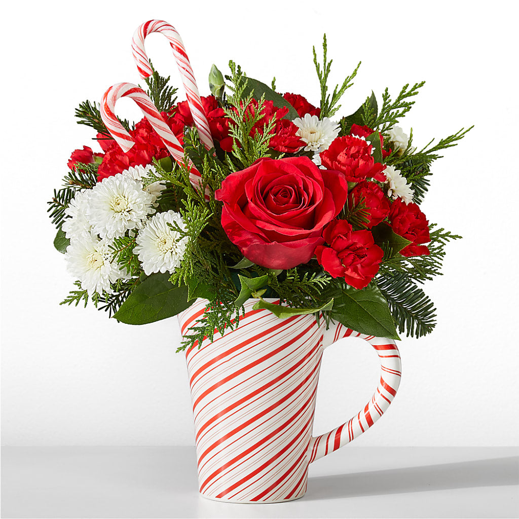 Peppermint Swirl Mug – EUGENE'S FLOWER HOME, Springfield OR