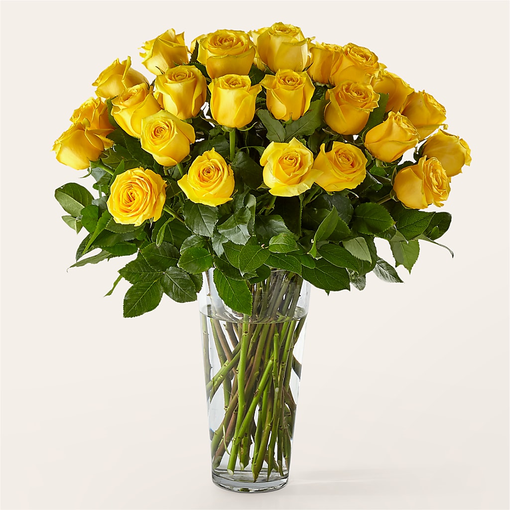 Long Stem Yellow Rose Bouquet – EUGENE'S FLOWER HOME, Springfield OR
