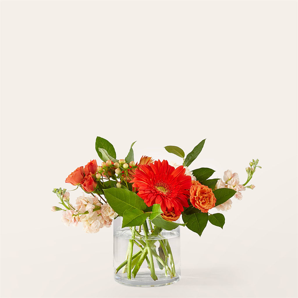 Paloma Please Bouquet – EUGENE'S FLOWER HOME, Springfield OR