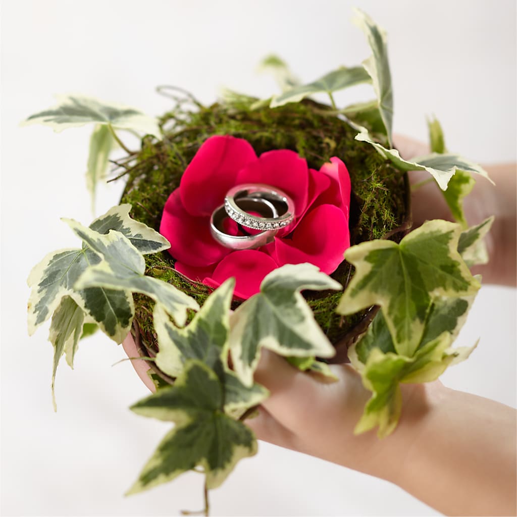Lila Rose Ring Nest – EUGENE'S FLOWER HOME, Springfield OR