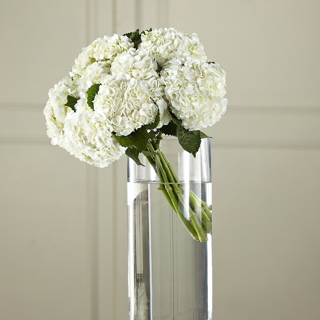White Hydrangea Hand-Tied Bouquet – EUGENE'S FLOWER HOME, Springfield OR