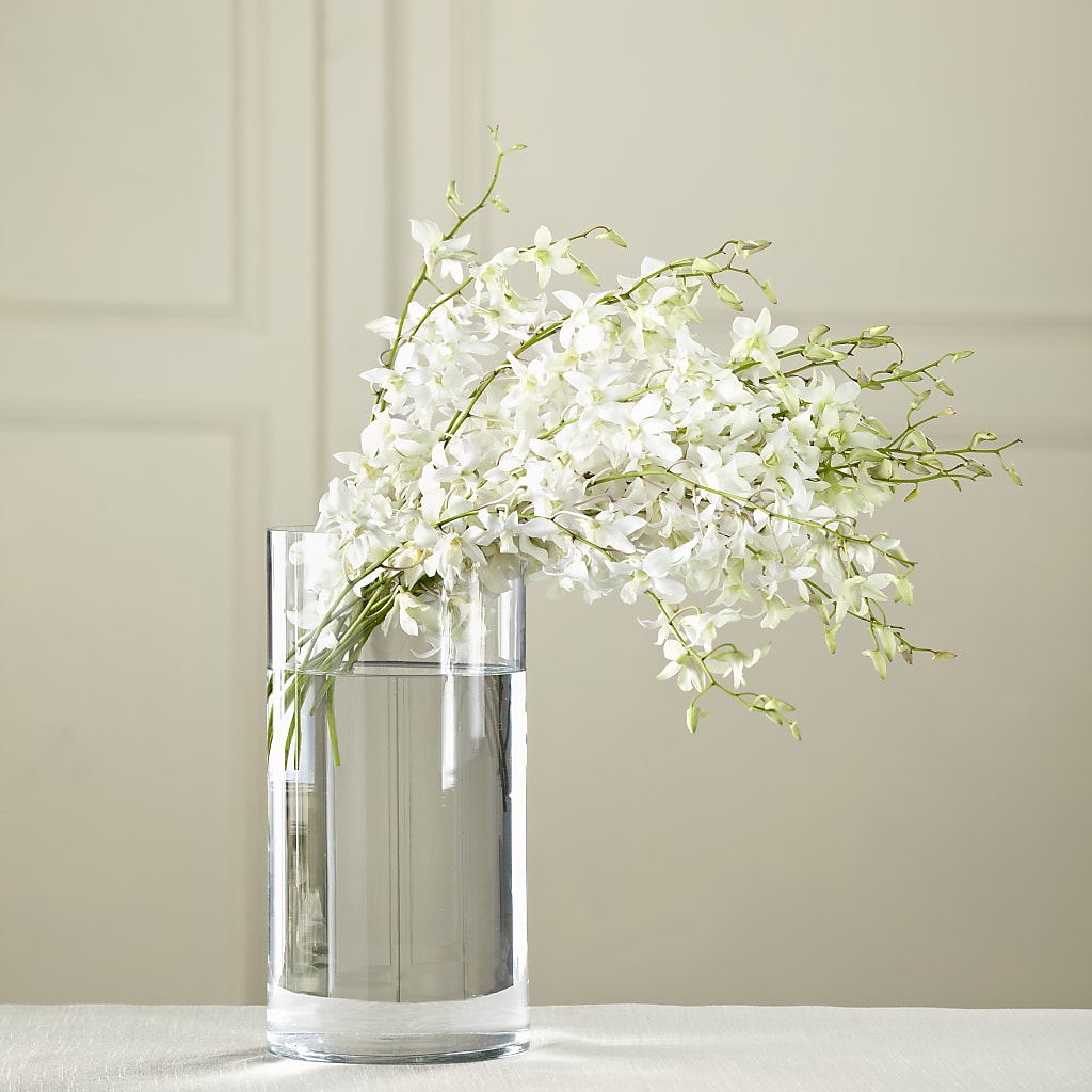 White Dendrobium Bouquet – EUGENE'S FLOWER HOME, Springfield OR