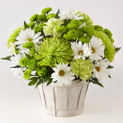 Lucky Charm Basket (Standard) – EUGENE'S FLOWER HOME, Springfield OR