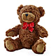 Adorable Plush Bear – EUGENE'S FLOWER HOME, Springfield OR