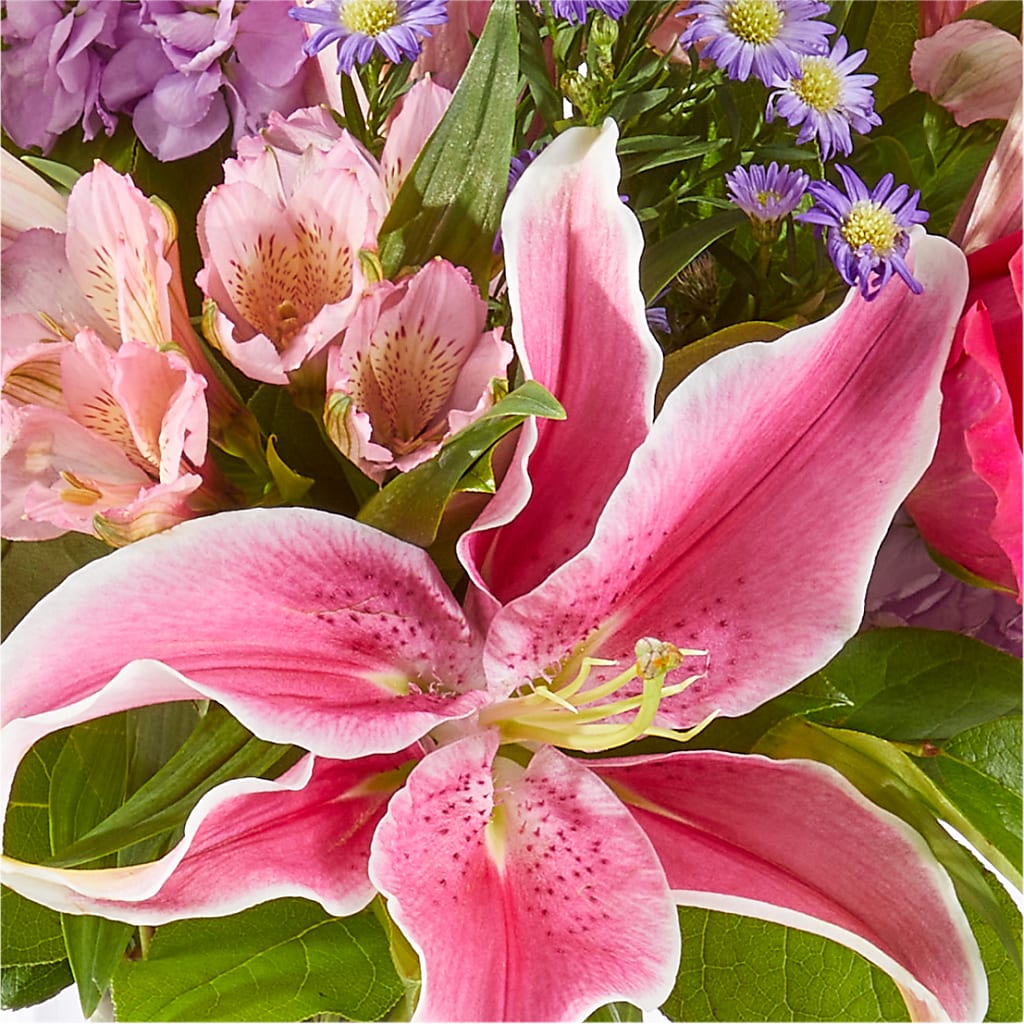 Written in the Stars Bouquet – EUGENE'S FLOWER HOME, Springfield OR