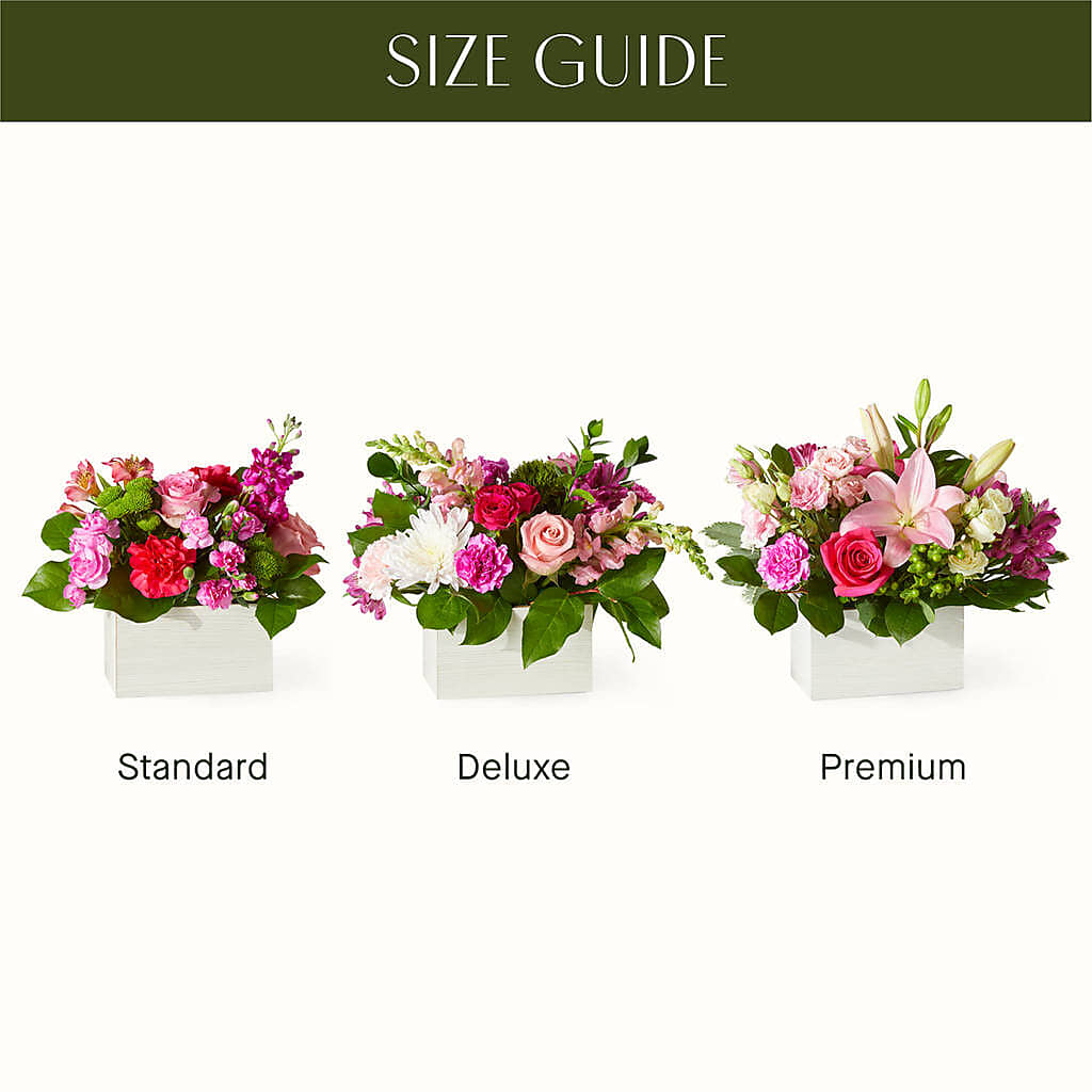 Sweetberry Box – A Florist Original – EUGENE'S FLOWER HOME, Springfield OR