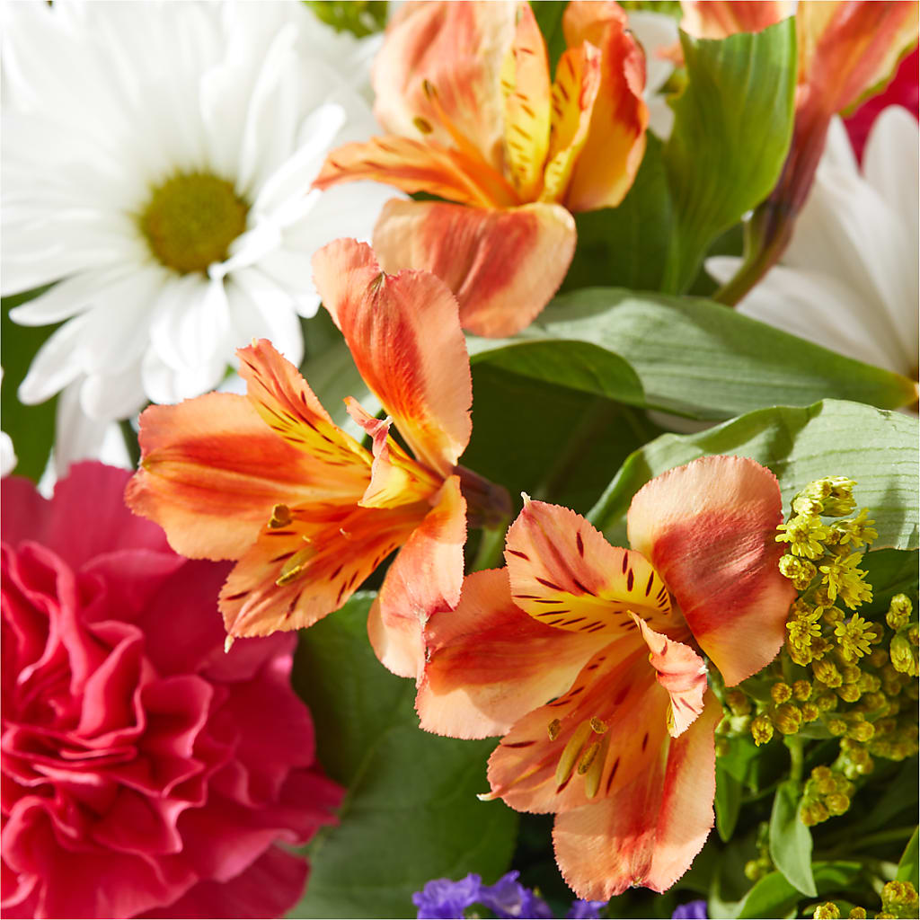 Oopsie Daisy Box Bouquet – EUGENE'S FLOWER HOME, Springfield OR