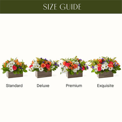 Oopsie Daisy Box Bouquet – EUGENE'S FLOWER HOME, Springfield OR
