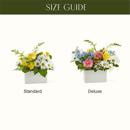 Sun Salutation Box Bouquet – EUGENE'S FLOWER HOME, Springfield OR