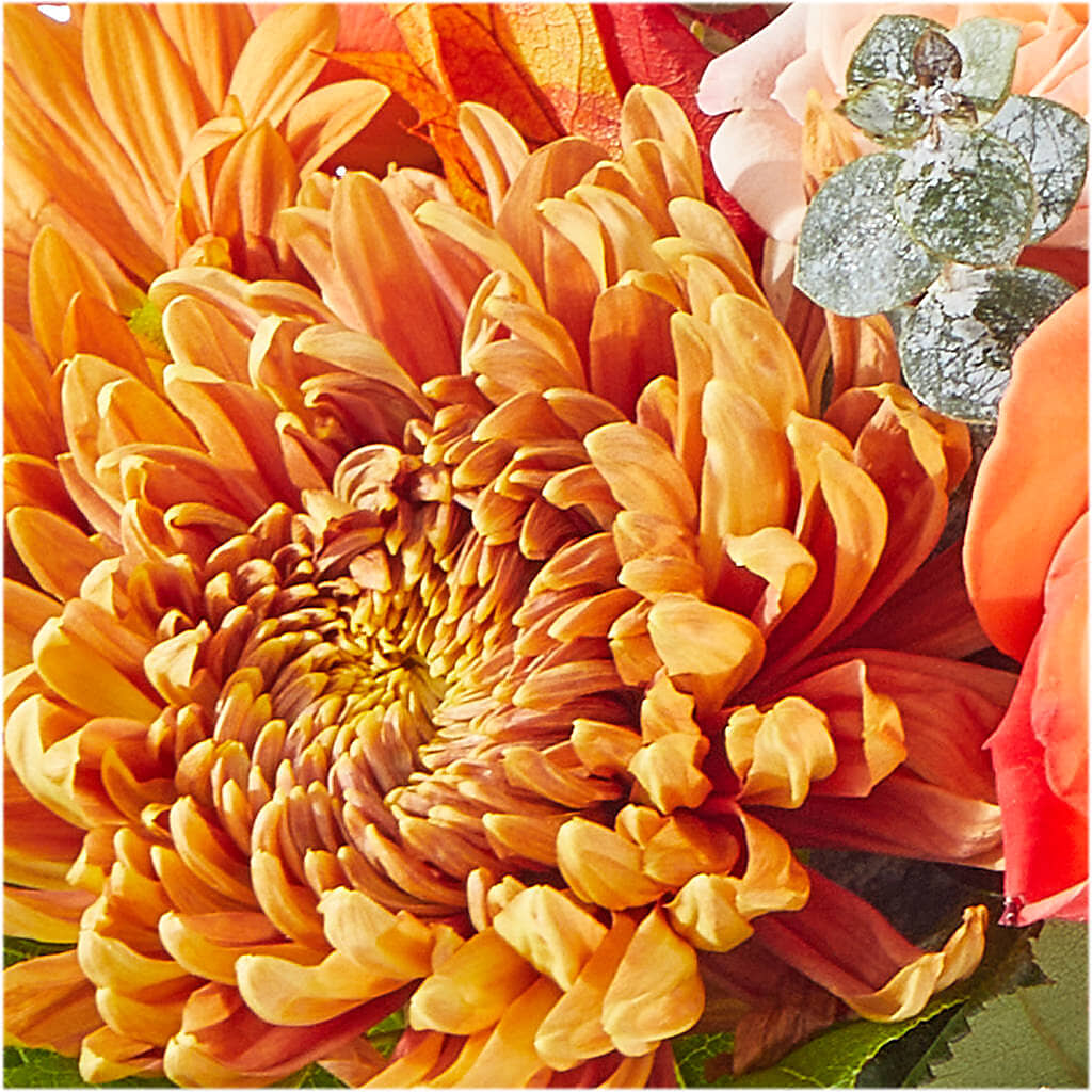 Scenic Route Bouquet – EUGENE'S FLOWER HOME, Springfield OR