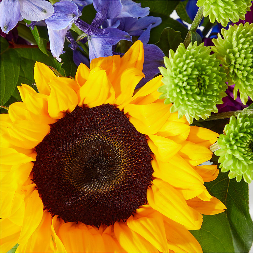 Catching Rays Bouquet – EUGENE'S FLOWER HOME, Springfield OR