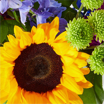 Catching Rays Bouquet – EUGENE'S FLOWER HOME, Springfield OR