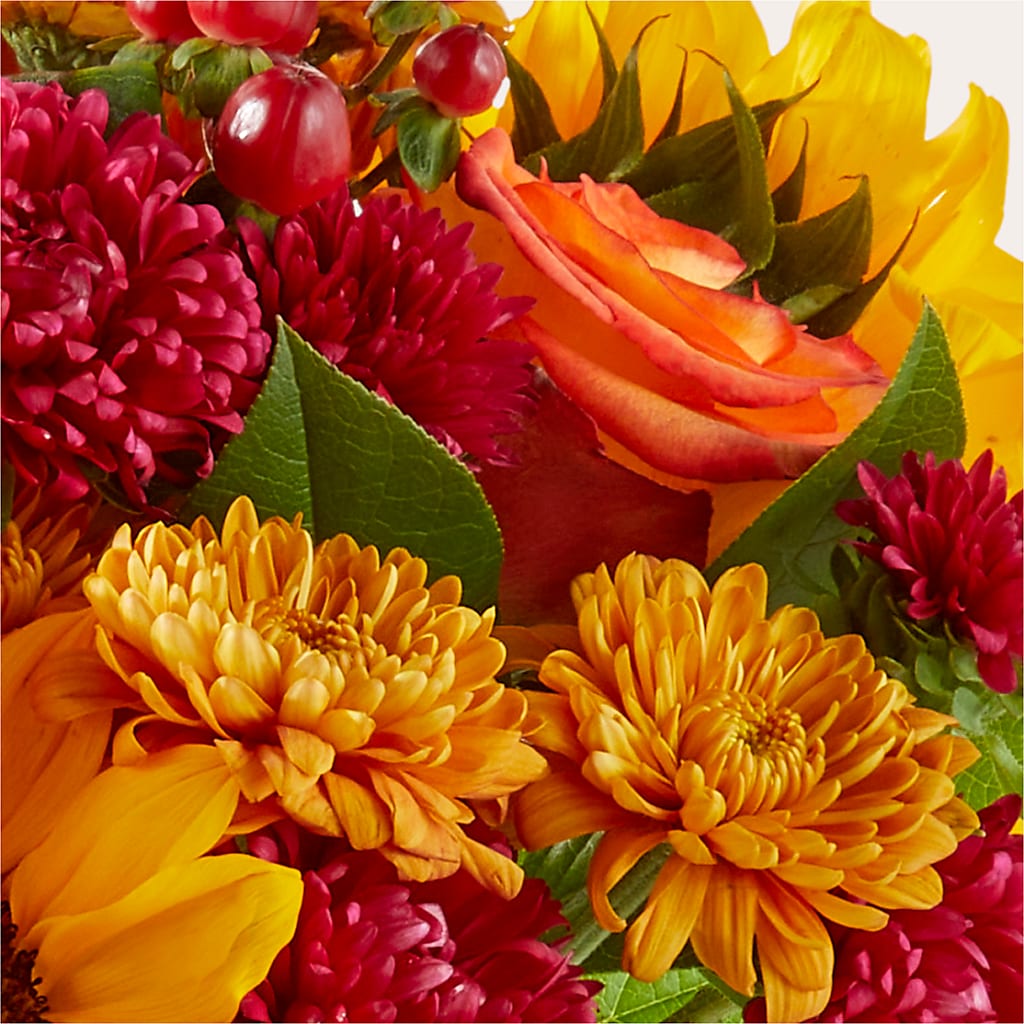 Sweater Season - A Florist Original – EUGENE'S FLOWER HOME, Springfield OR