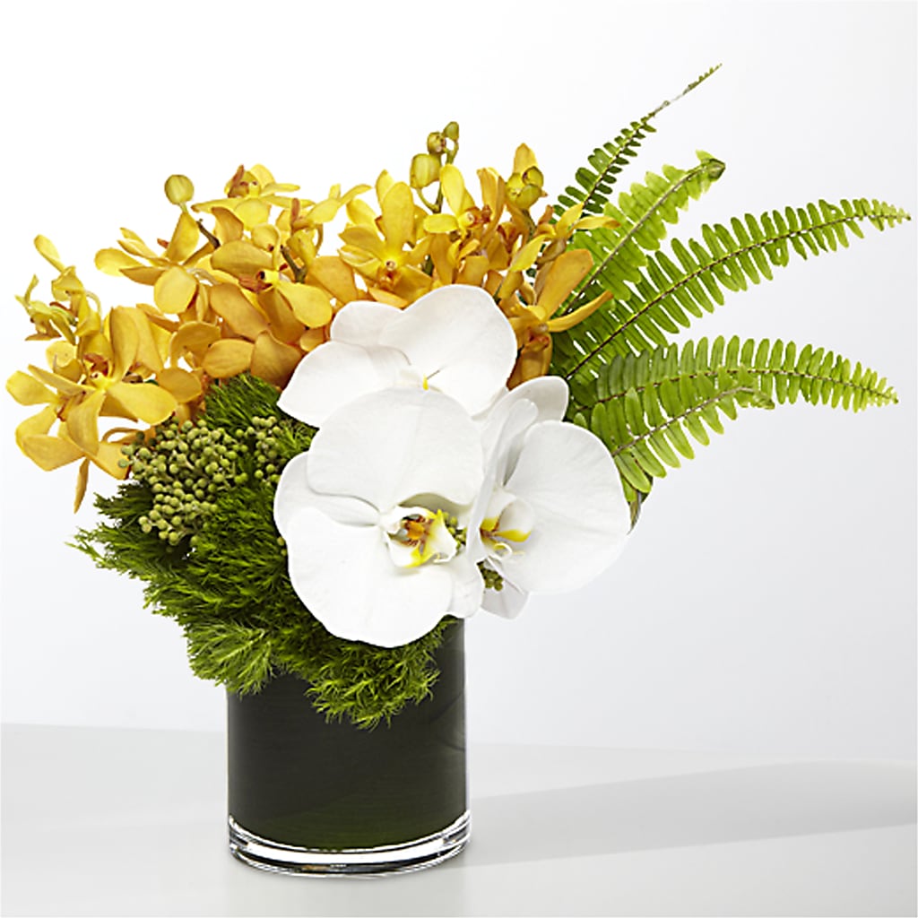 The Tropics – EUGENE'S FLOWER HOME, Springfield OR
