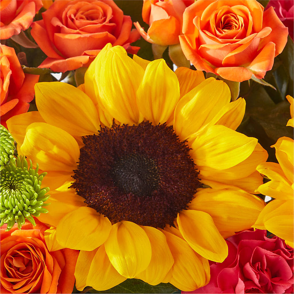 Sun-drenched Blooms Box Bouquet – EUGENE'S FLOWER HOME, Springfield OR