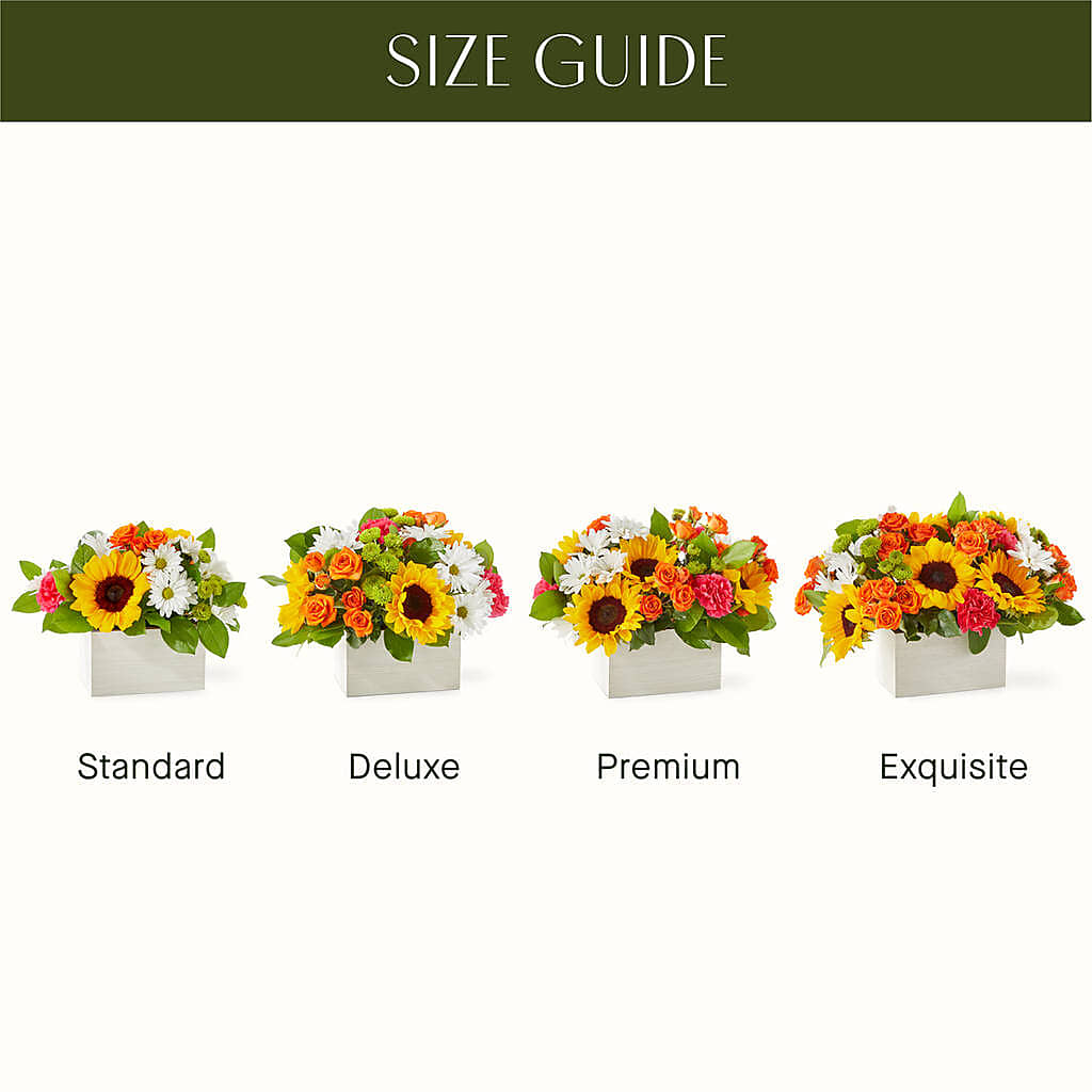 Sun-drenched Blooms Box Bouquet – EUGENE'S FLOWER HOME, Springfield OR