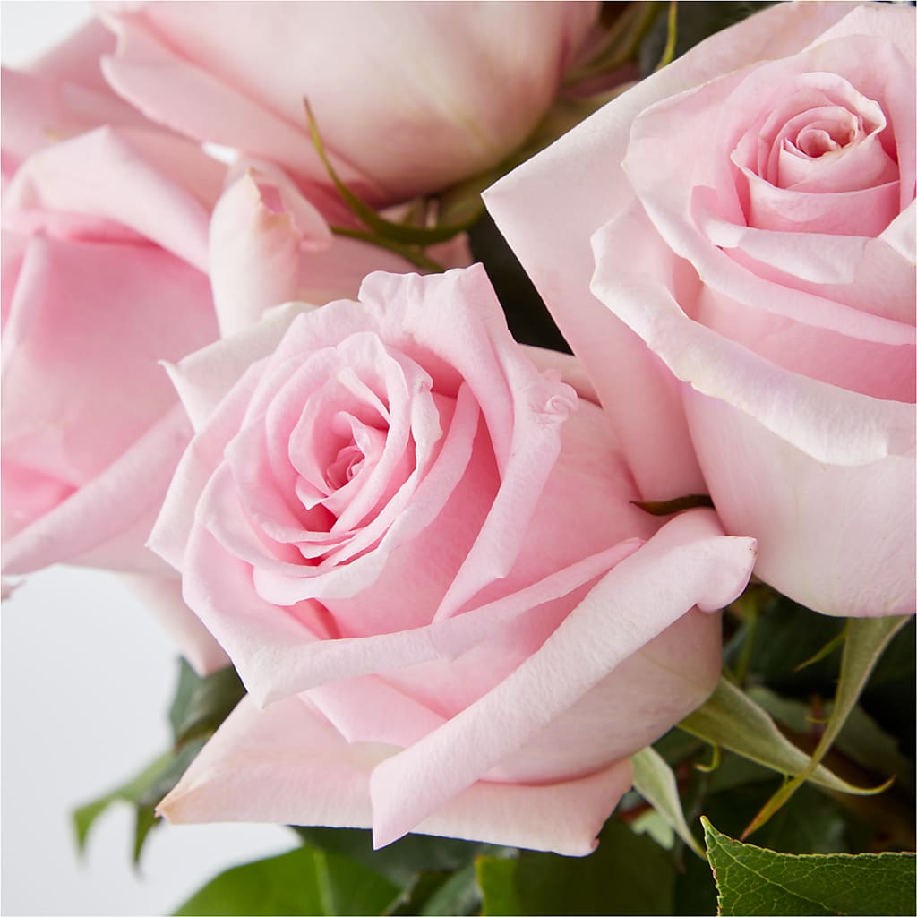 Picture Perfect Pink Rose Bouquet – EUGENE'S FLOWER HOME, Springfield OR