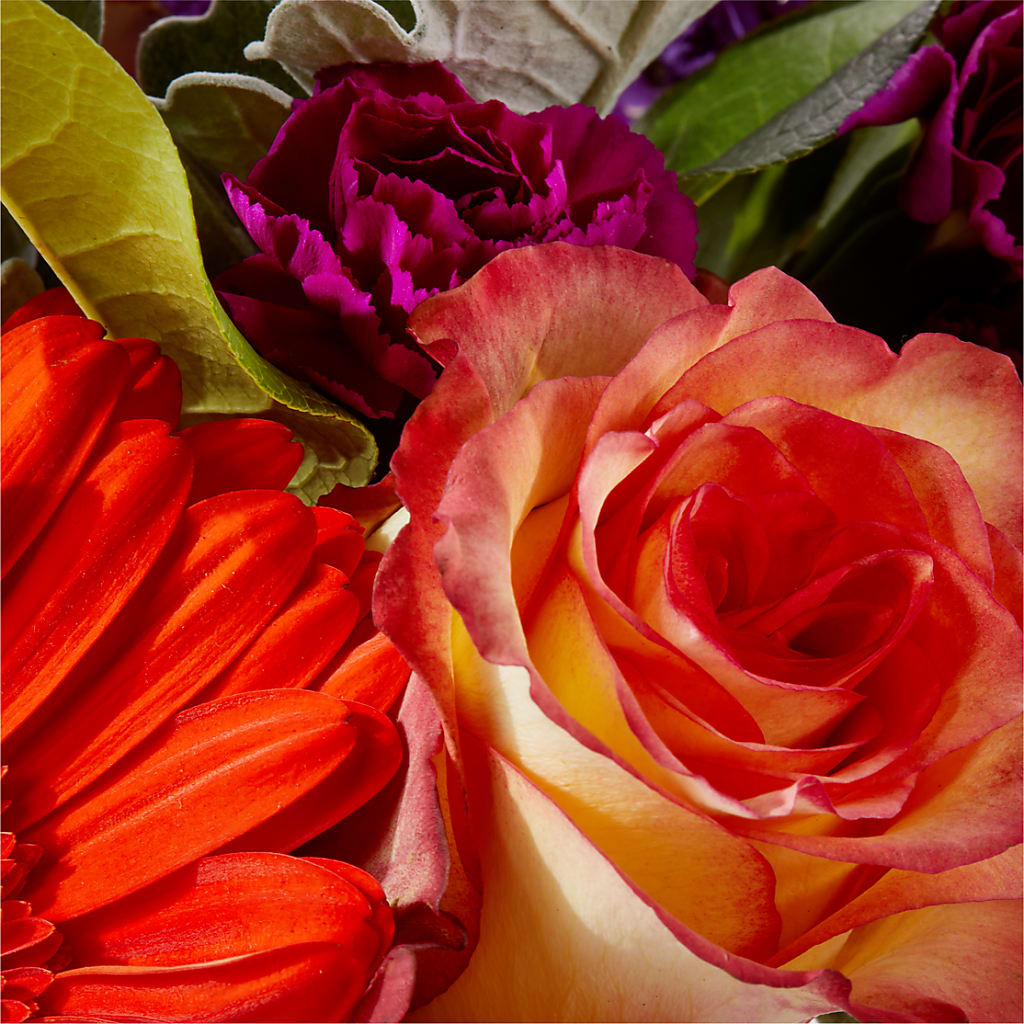 Sangria Bouquet – EUGENE'S FLOWER HOME, Springfield OR