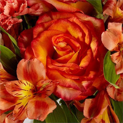 Apricot Glow Bouquet – EUGENE'S FLOWER HOME, Springfield OR