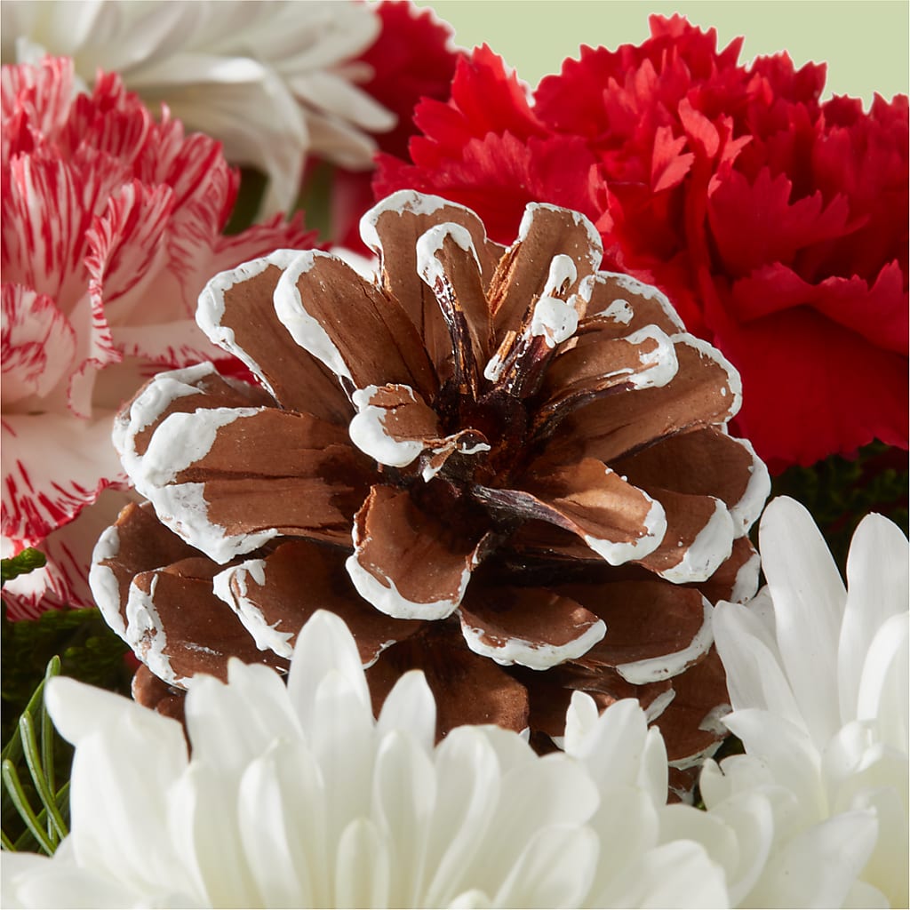Candy Cane Lane Bouquet – EUGENE'S FLOWER HOME, Springfield OR