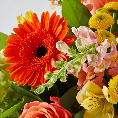 Autumn Sunshine Bouquet – EUGENE'S FLOWER HOME, Springfield OR