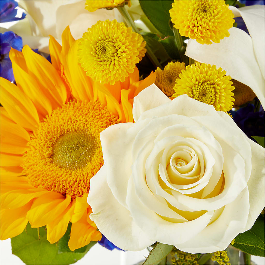 Stargazing Bouquet – EUGENE'S FLOWER HOME, Springfield OR