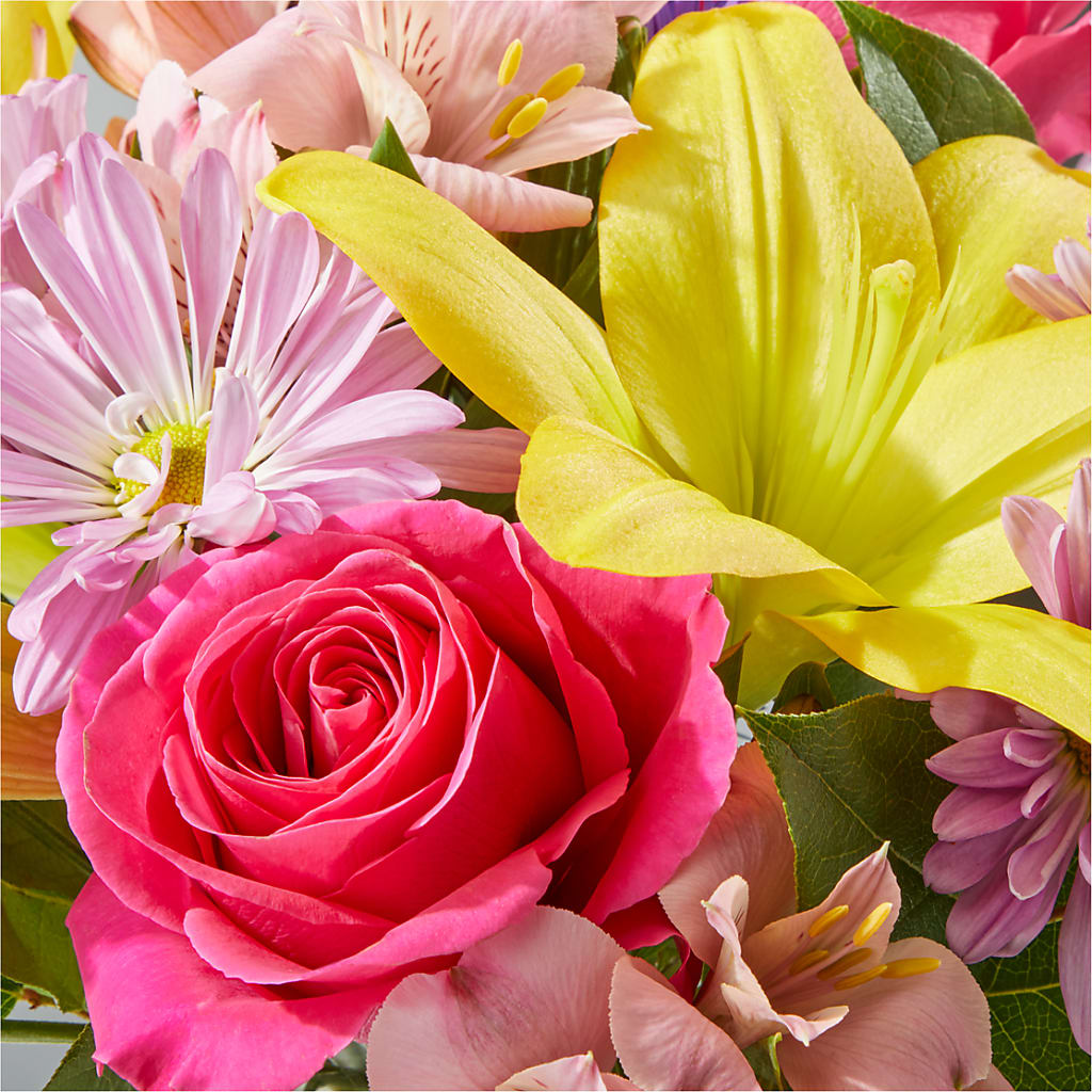 Sprinkles Bouquet – EUGENE'S FLOWER HOME, Springfield OR