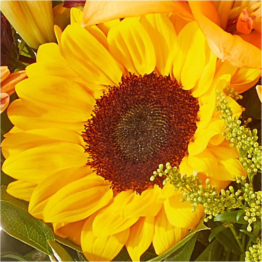 Seasons Change Bouquet – EUGENE'S FLOWER HOME, Springfield OR