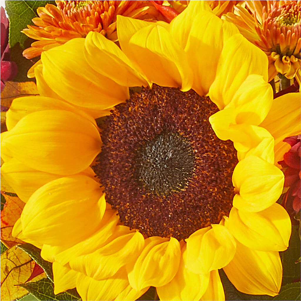 Sunny Side Bouquet – EUGENE'S FLOWER HOME, Springfield OR