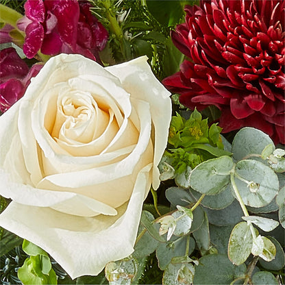 Cranberry Fizz Bouquet – EUGENE'S FLOWER HOME, Springfield OR