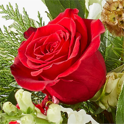 Deck the Halls Bouquet – EUGENE'S FLOWER HOME, Springfield OR