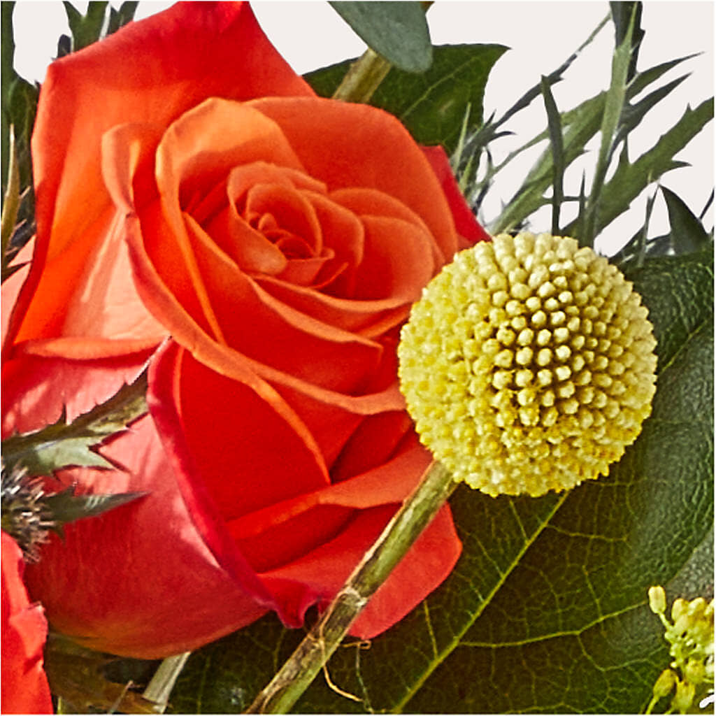 Disco Bouquet – EUGENE'S FLOWER HOME, Springfield OR