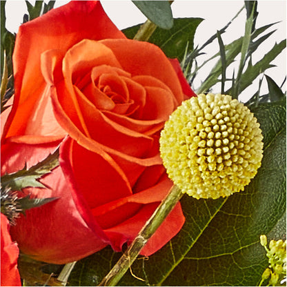 Disco Bouquet – EUGENE'S FLOWER HOME, Springfield OR