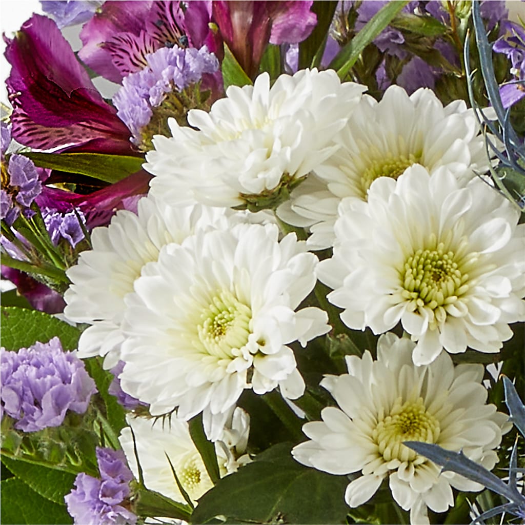 Shooting Star Bouquet – EUGENE'S FLOWER HOME, Springfield OR