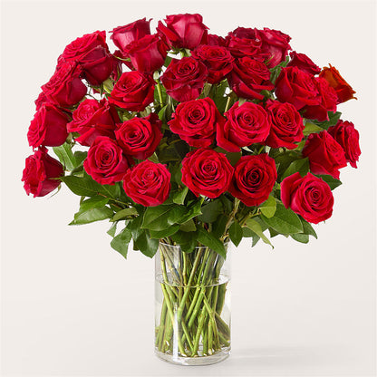 The One Red Rose Bouquet – EUGENE'S FLOWER HOME, Springfield OR