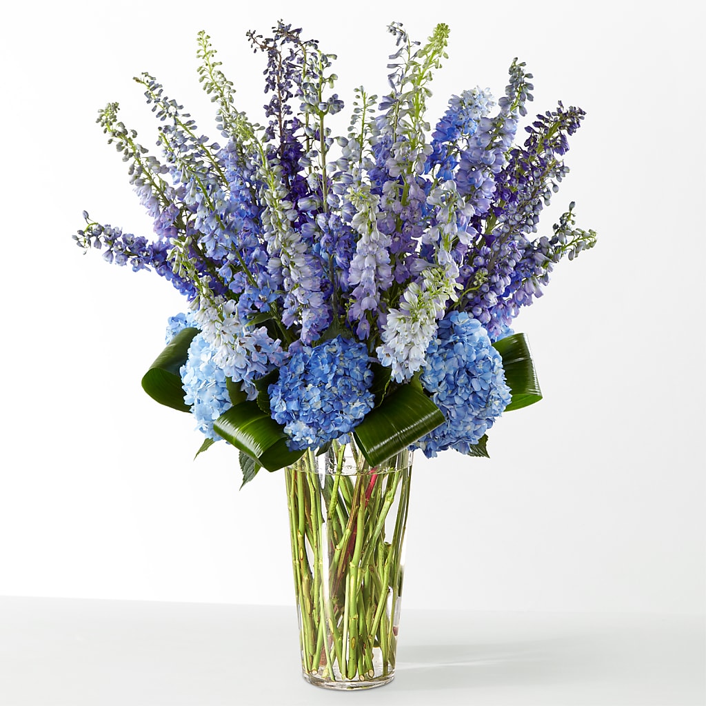 The Editorial – EUGENE'S FLOWER HOME, Springfield OR