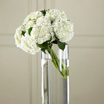 White Hydrangea Hand-Tied Bouquet – EUGENE'S FLOWER HOME, Springfield OR